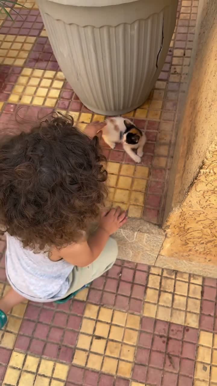 Samira ⵣ on Jul 29