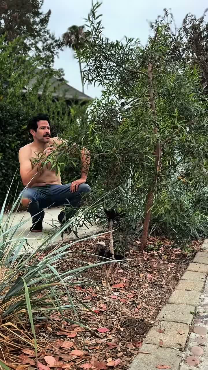 charlesmagicgarden on Jun 24