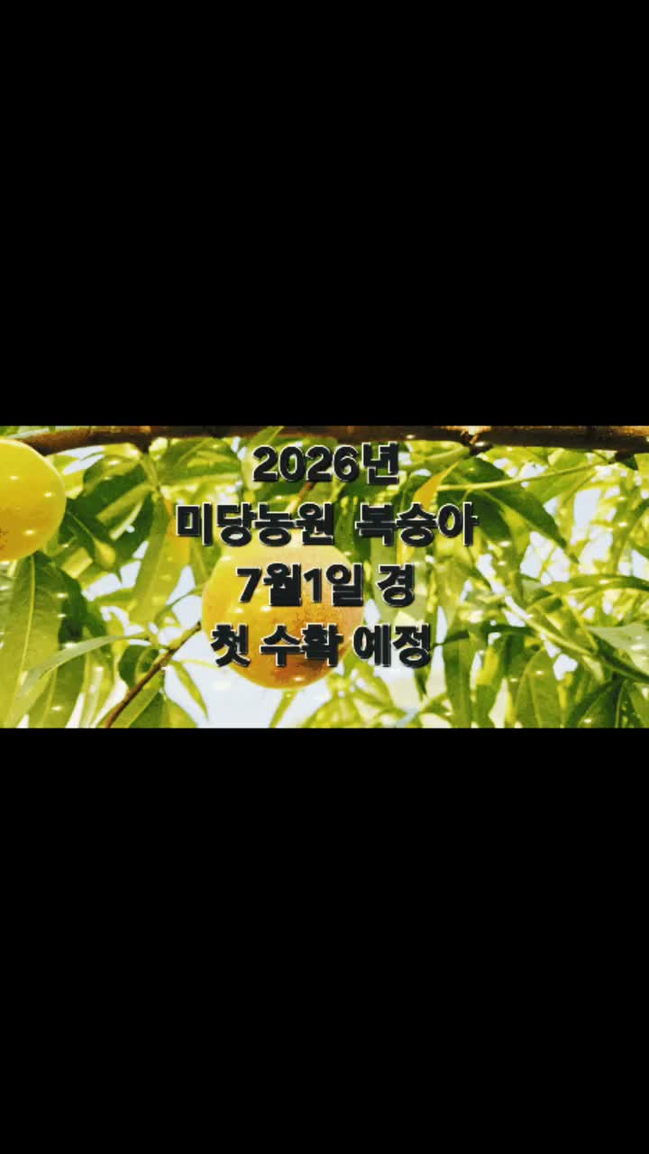 시골로간셰프 on Jun 18