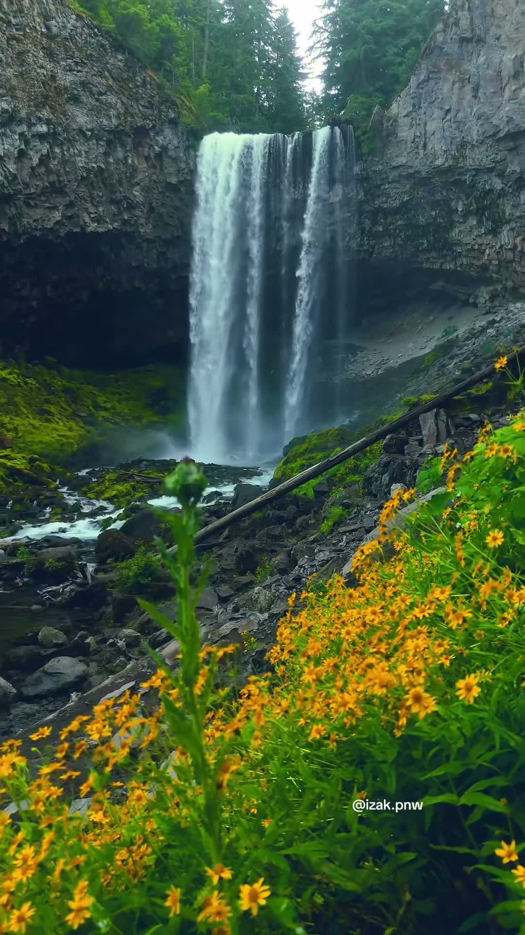 izak.pnw on Aug 11