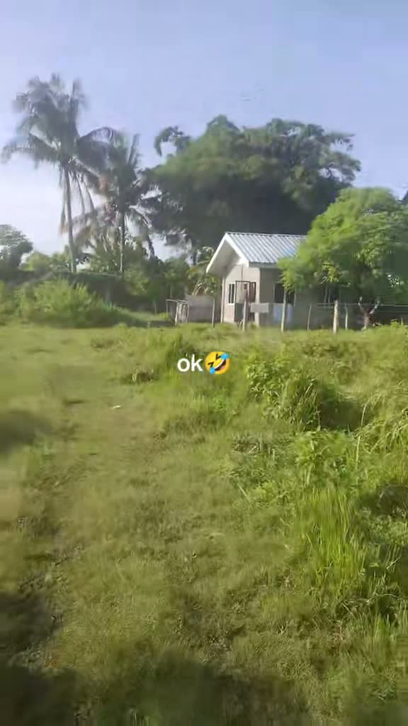 Maboname Precillas on Aug 2