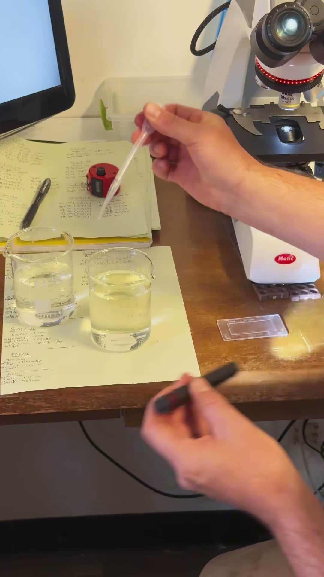 anyafernaldcooks on Jul 13