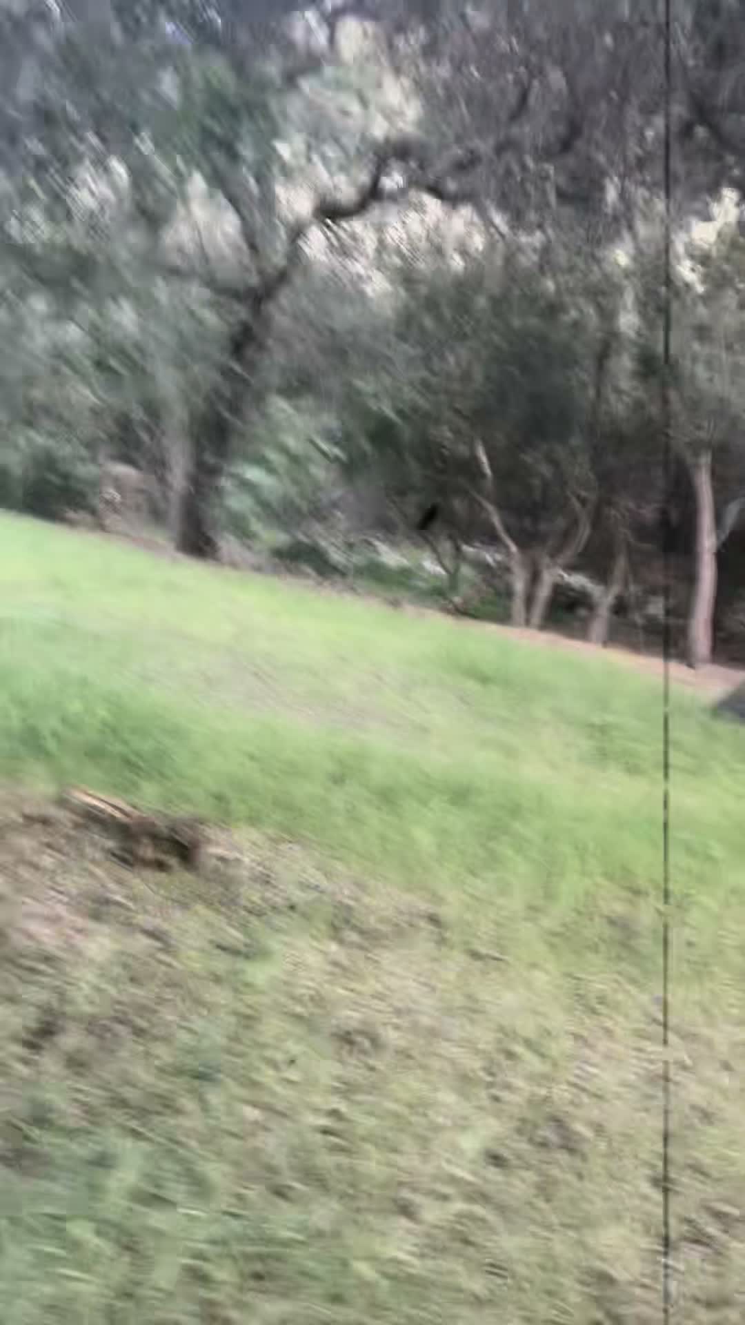 Billie on Mar 18