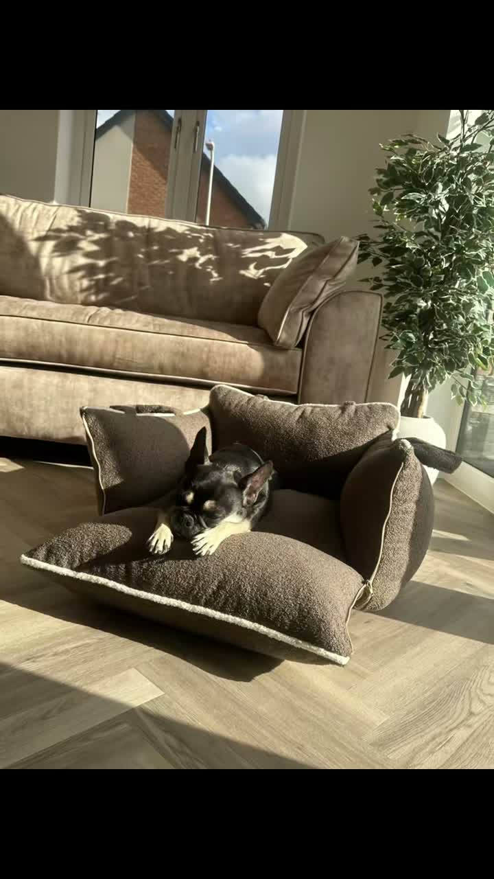 Unique Dogbeds on Jun 2