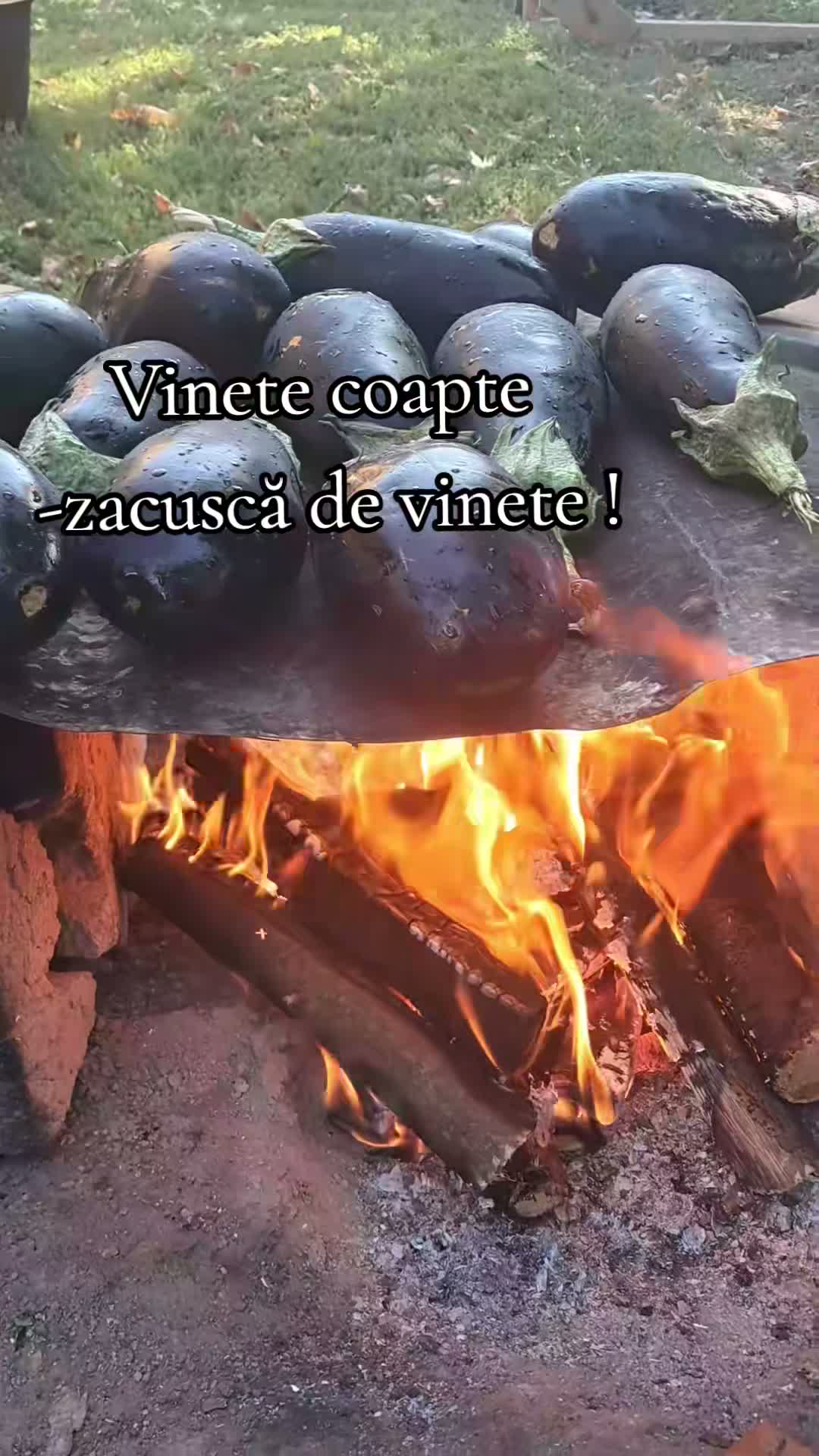 Ralu Trăiește la Țară on Aug 10