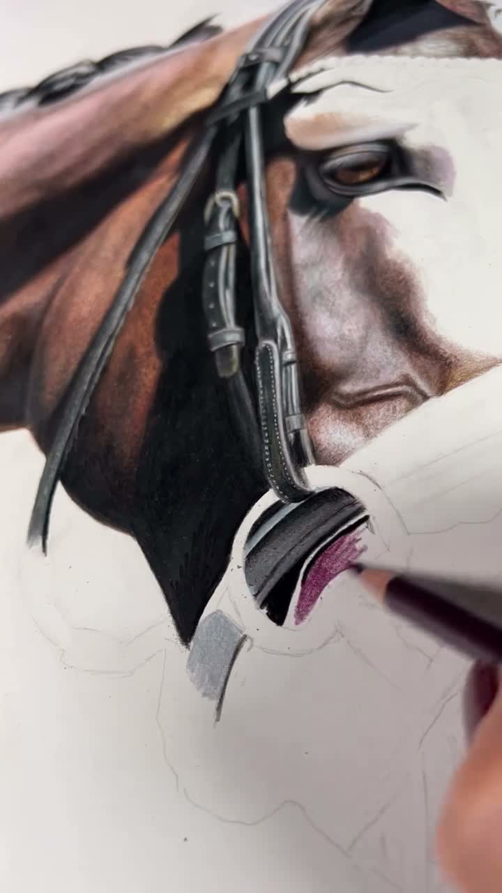 Lucy Colegate - Pencil Artist on Nov 29