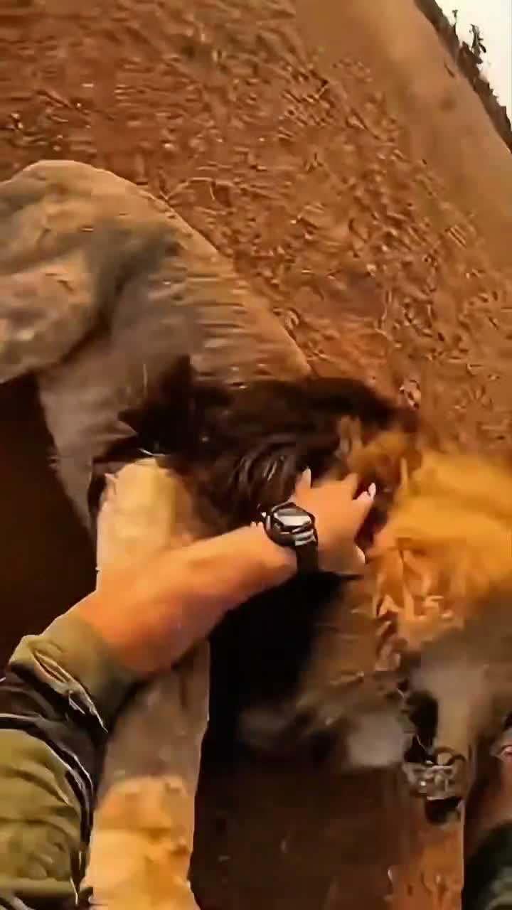 Humanity of Animals on Apr 23