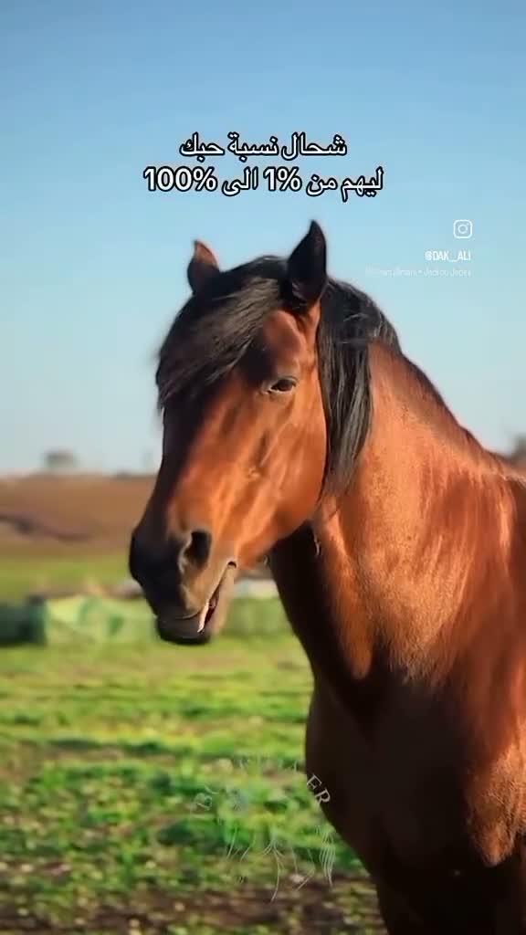 عبدالاله ديوان on Apr 26