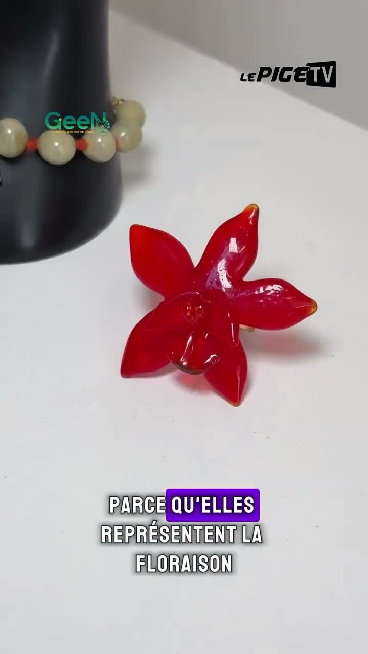 GeeN – La Guadeloupe Est En Nous on Jun 20