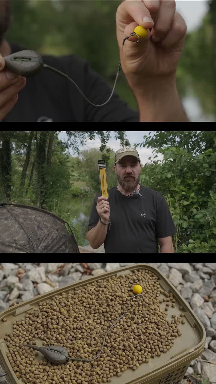 carpologyofficial on Aug 9