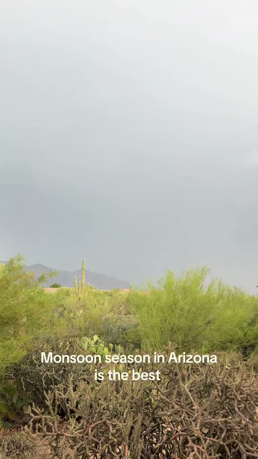 AZ & Destination Photographer on Jul 12