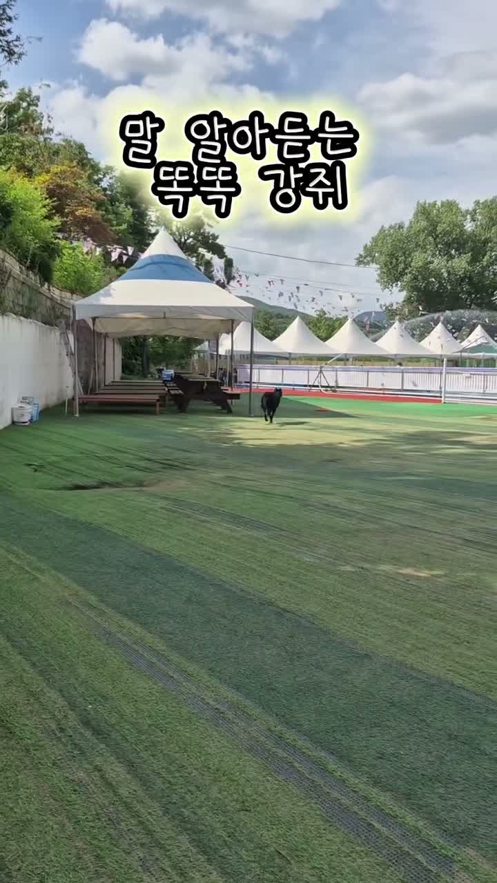 오늘도 나들이 중🌼 on Jul 11
