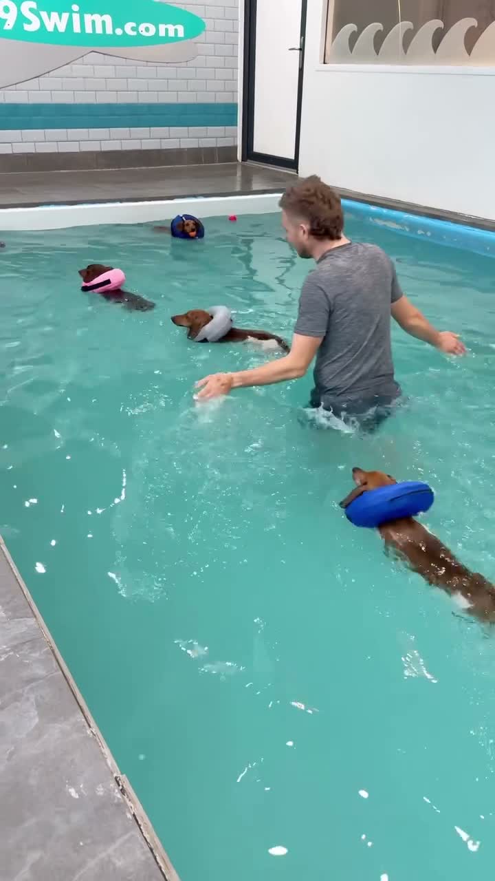 K9 Swim Manchester  🐕 on Mar 11
