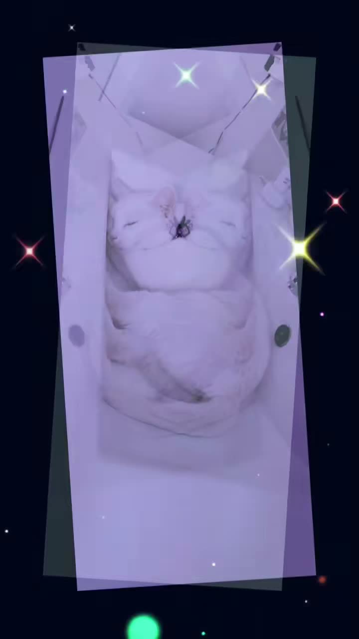 Satanás cor petit on Jul 16
