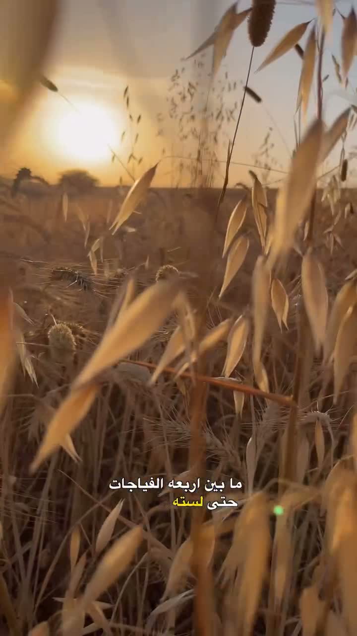Abdesamad Bensalah on Jul 1