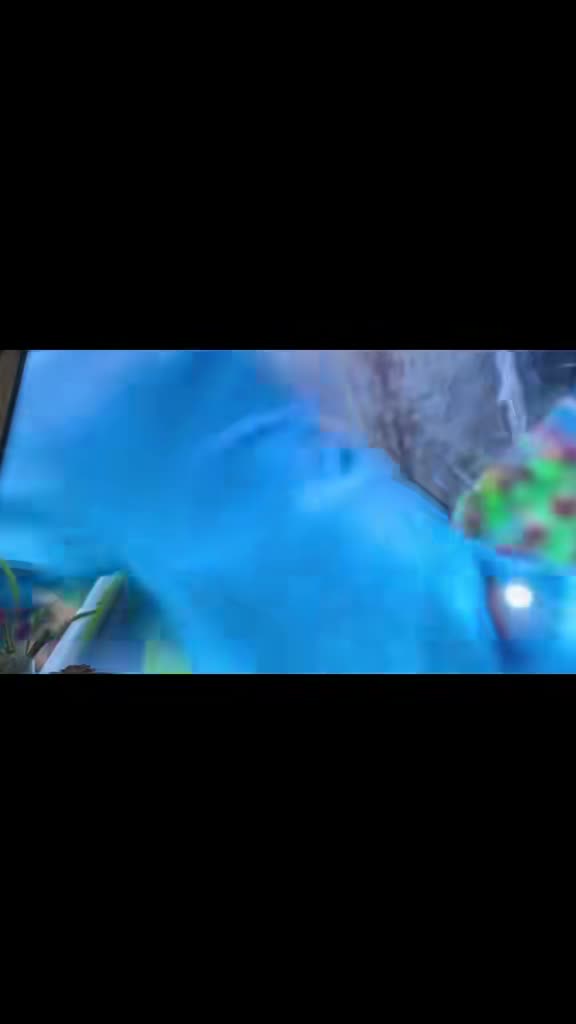 Riotube on Aug 5