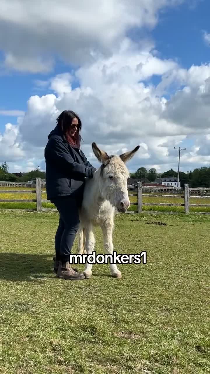 Mr Donkers1 on Jul 12