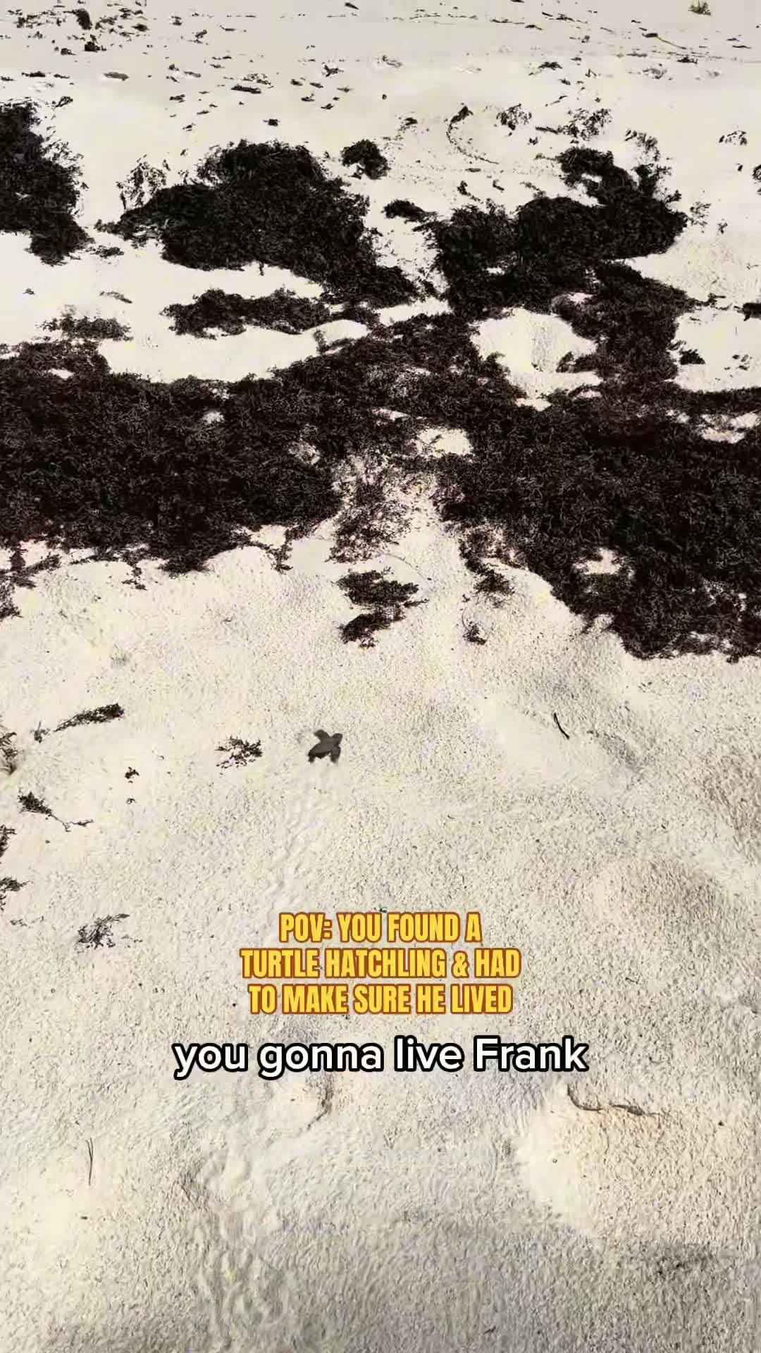 whereswunna on Jul 27