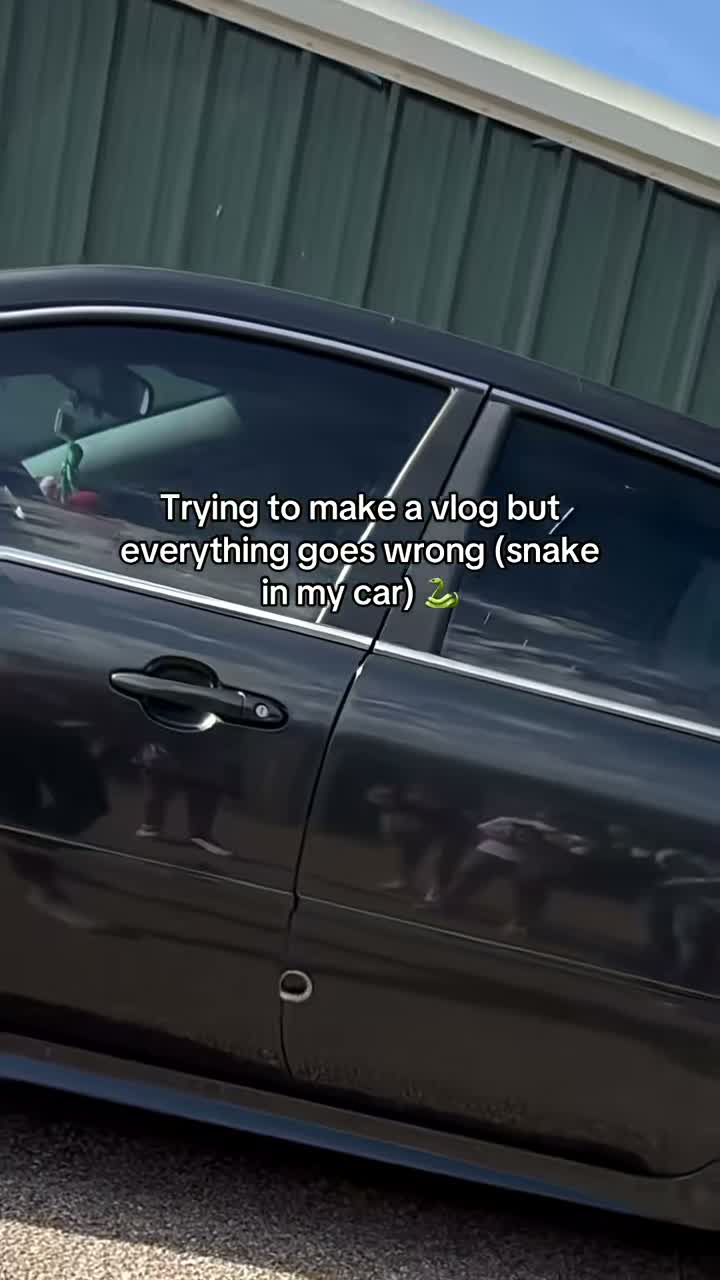 Animal Videos🥰 on Aug 7