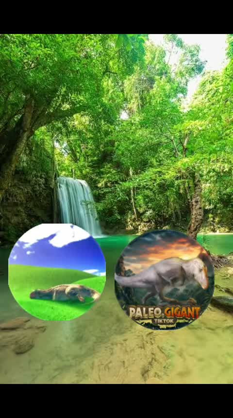 paleo gigant✅ on Aug 20