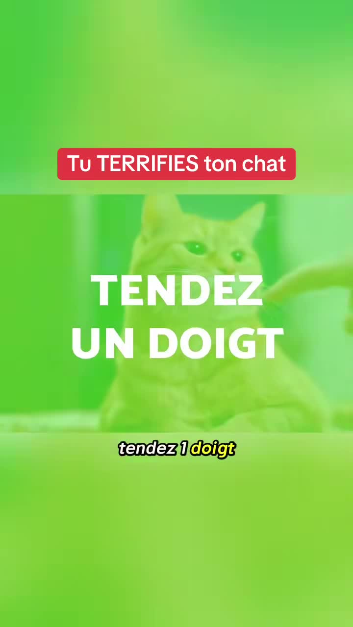 stories2chats on Jul 29