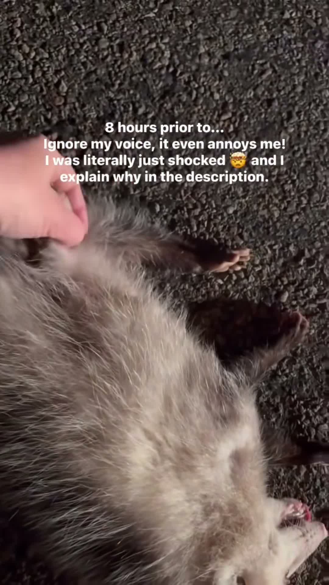 Tara on May 14