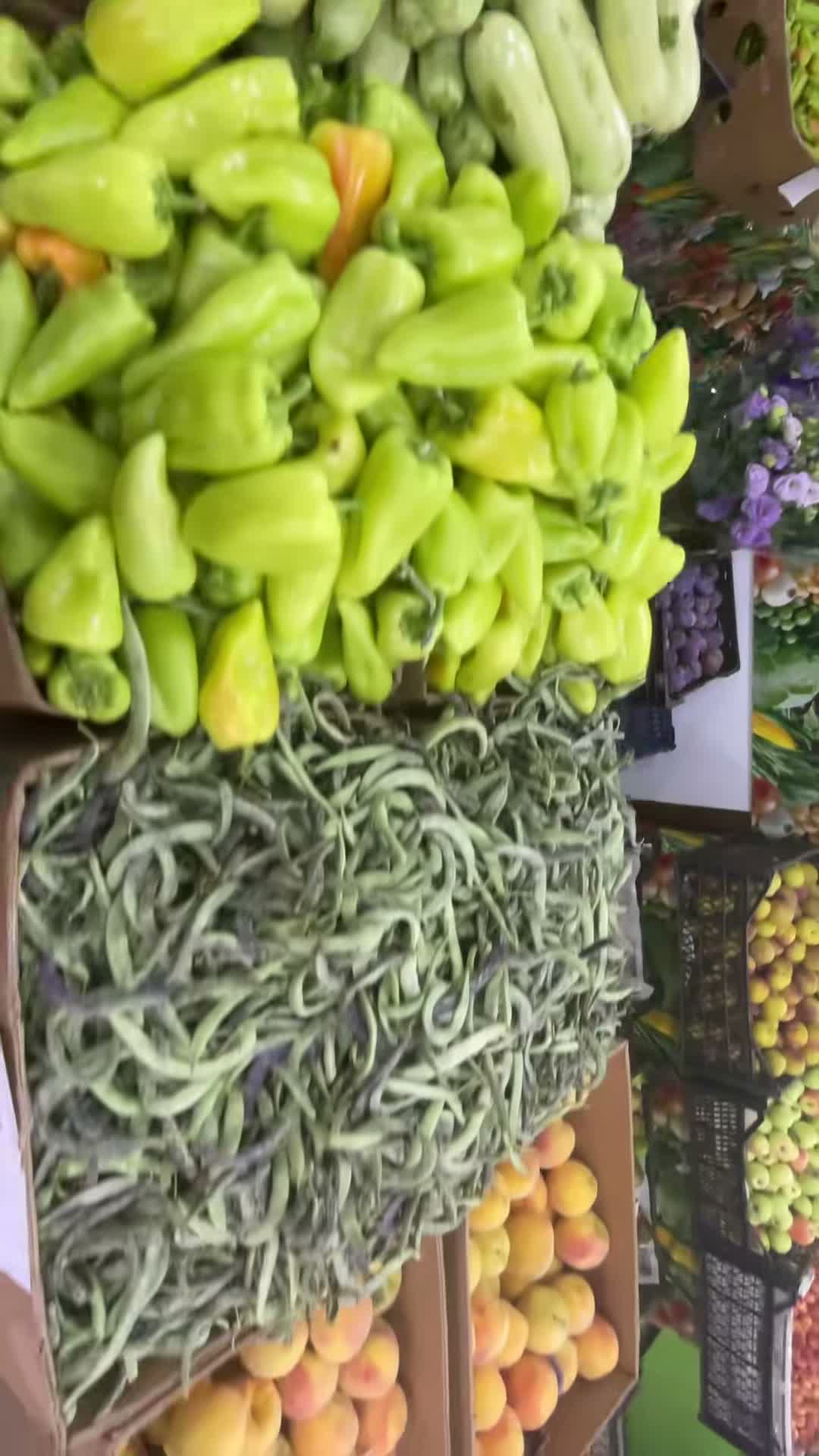 Gyuxi Barikner 🌱 on Jul 24