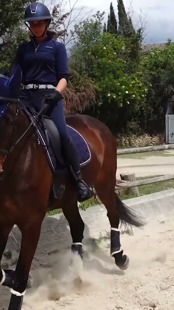 Terre de Sport Equestre on Aug 2