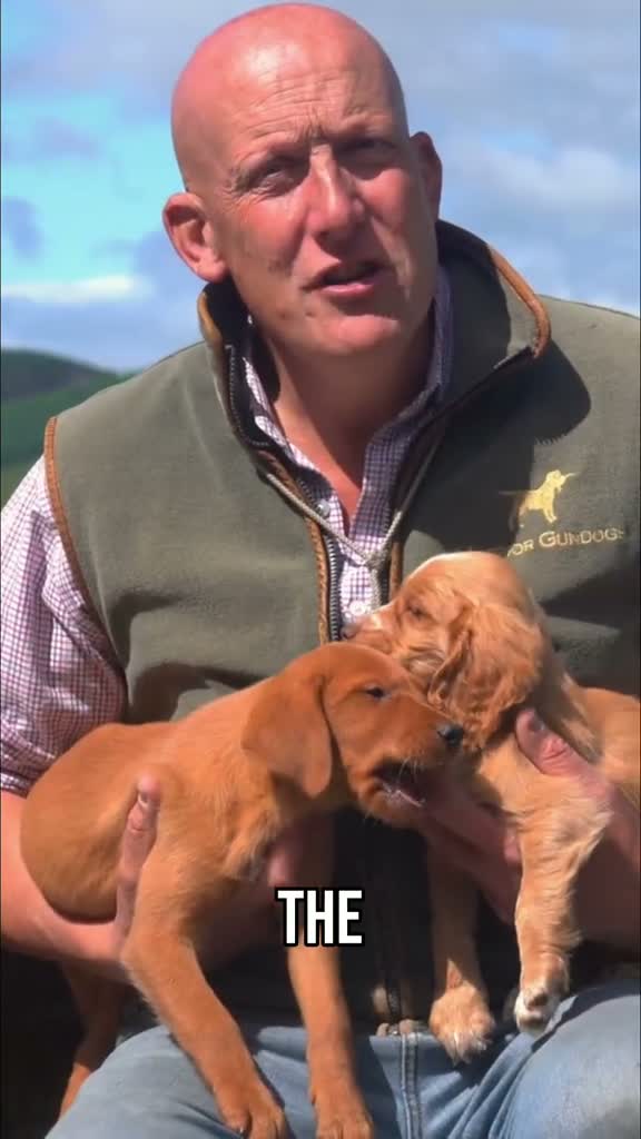 Mordor Gundogs on Aug 6