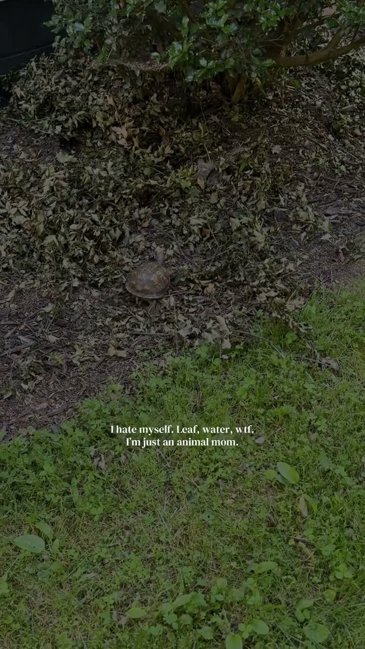 herhaus.lately on Jun 10