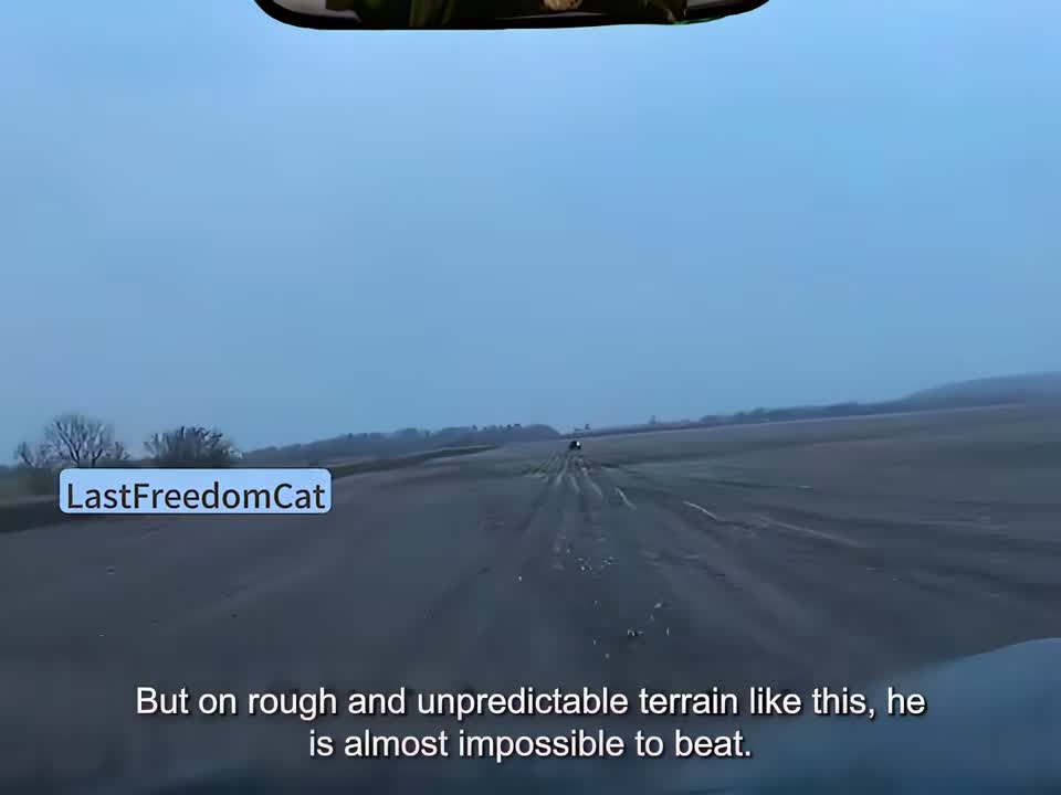 LastFreedomCat on Aug 5