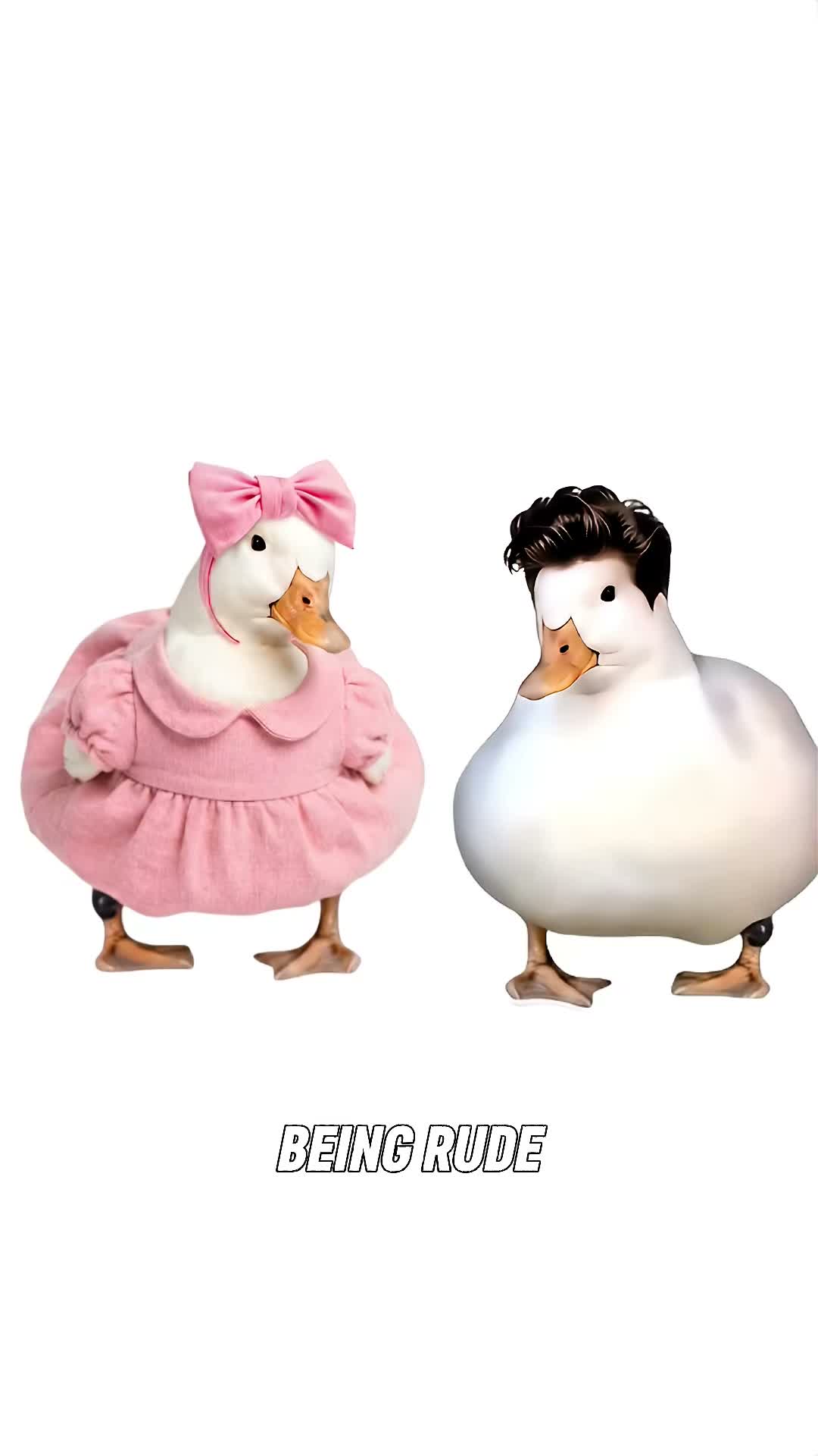 Duckling daily on Aug 17