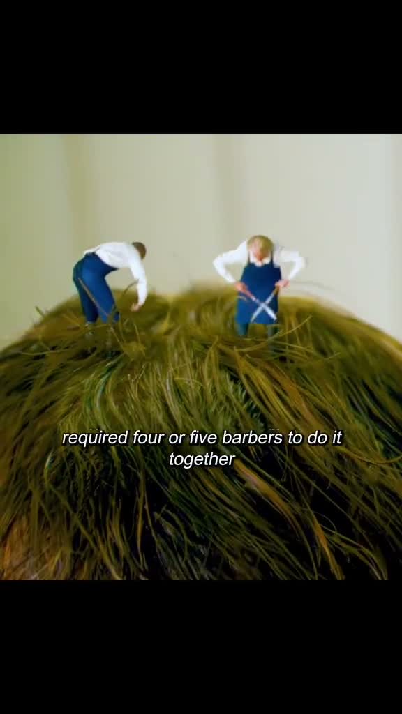 Skeins on Aug 18