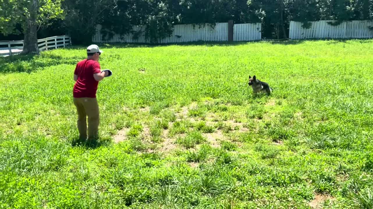 Hillbillyfeeder on Jul 14