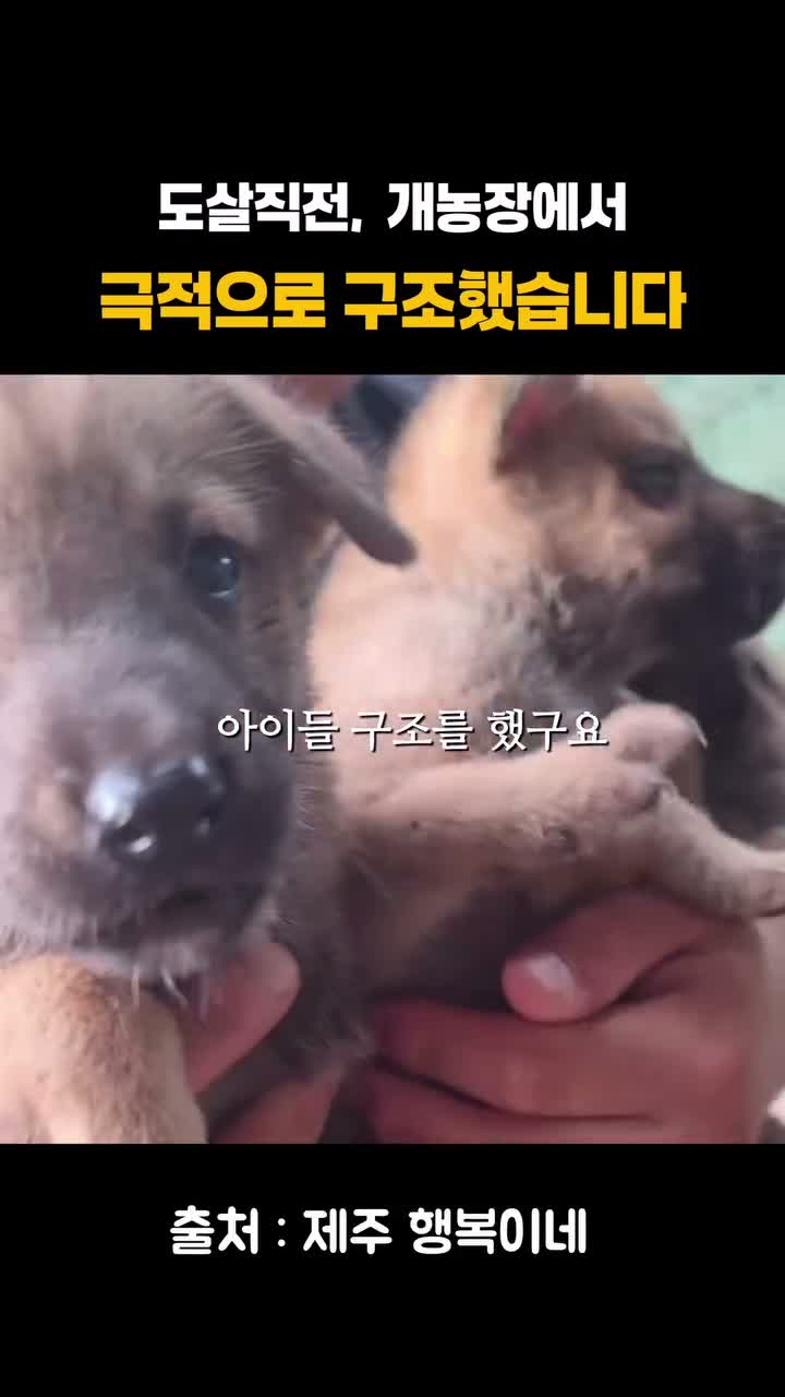 제주맛집 / 줄서서 먹는 제주가성비맛집 / 제주야미소영 on Aug 2