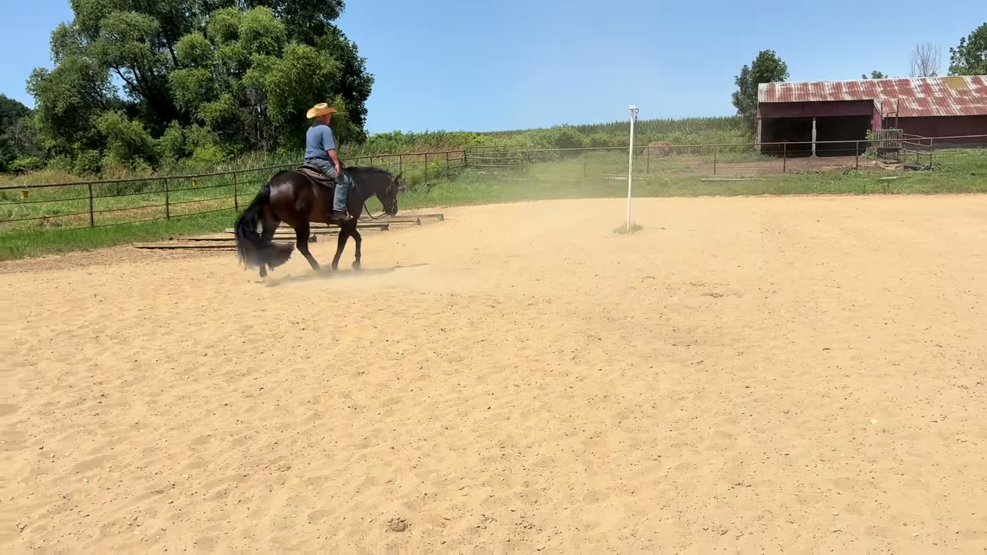 Bauer and Gooding Show Horses on Jul 24