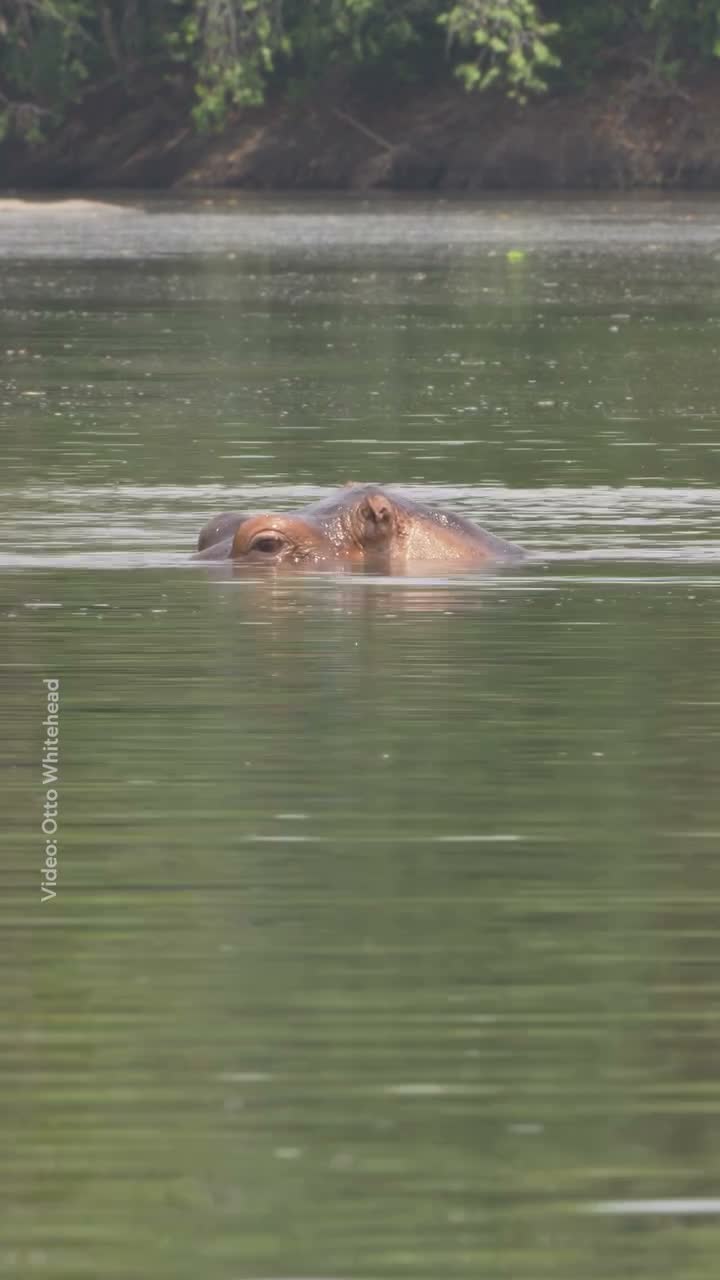 National Geographic on Jul 31