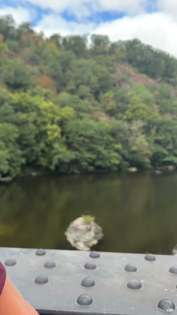 𝑱𝒖𝒍𝒊𝒆 𝑹𝒊𝒈𝒏𝒂𝒖𝒍𝒕 on Jul 27
