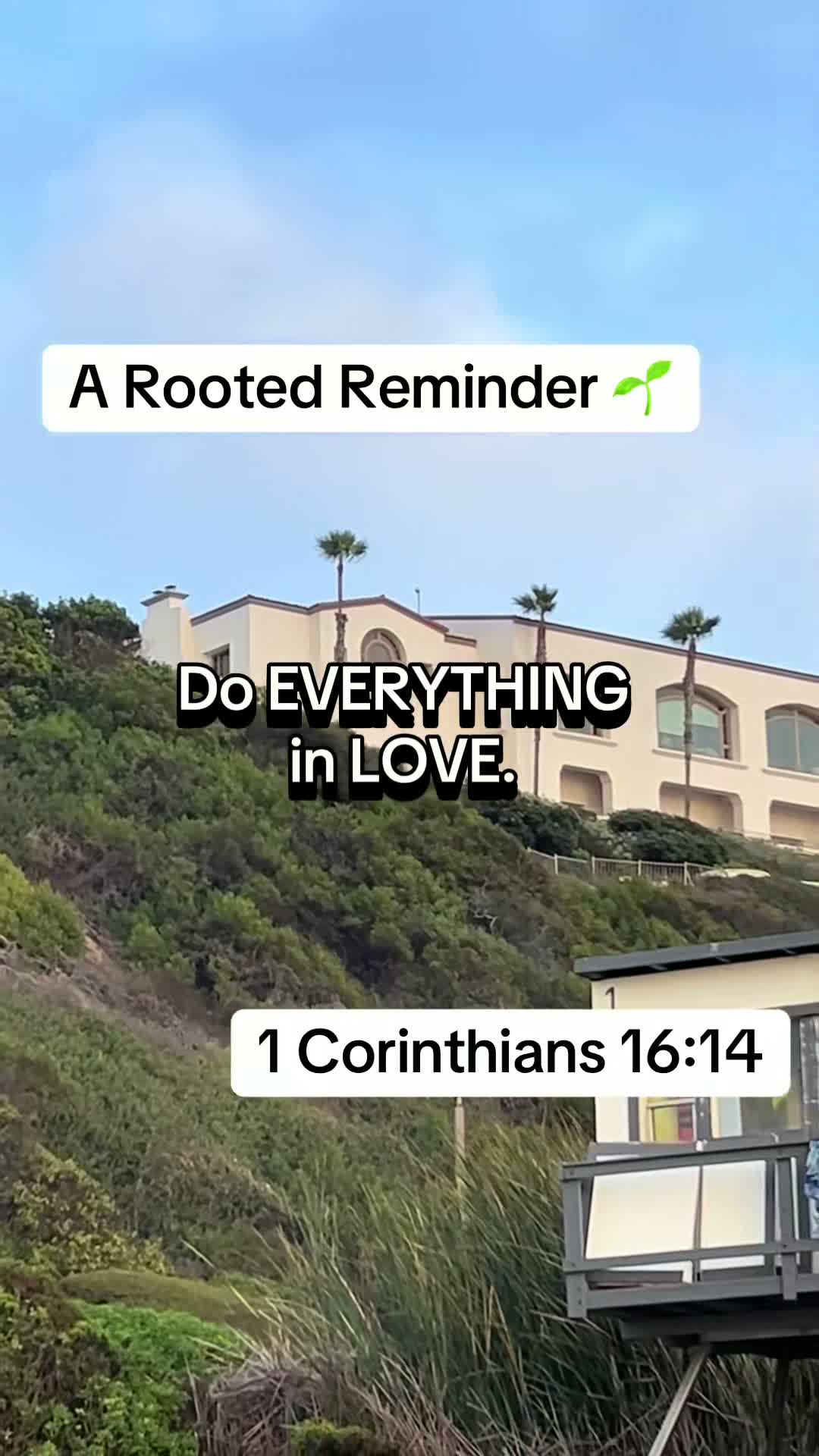 ROOTED on Aug 14
