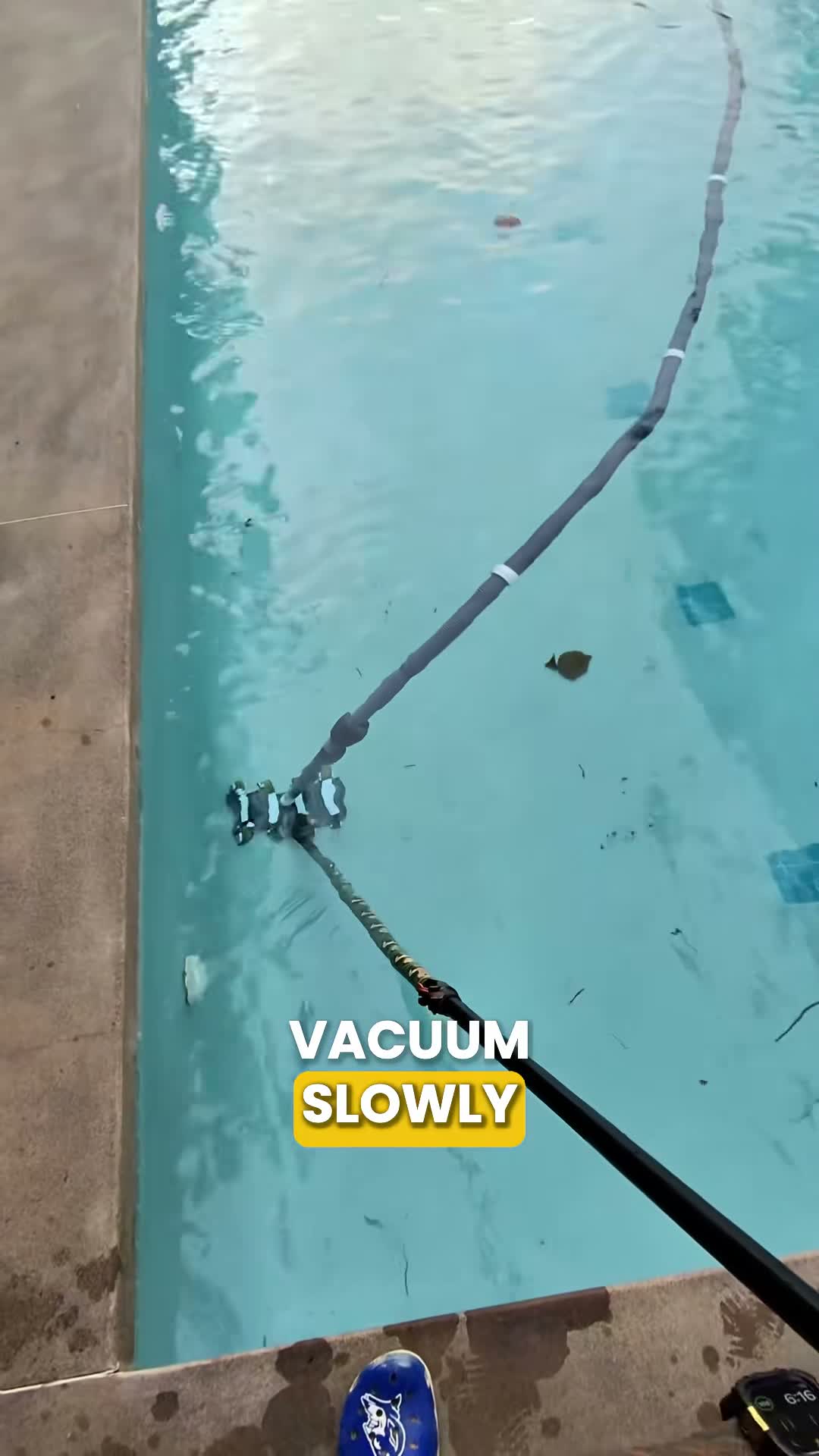 Swim University® on Aug 3