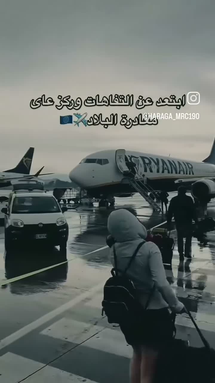 Zohayr EL on Oct 8