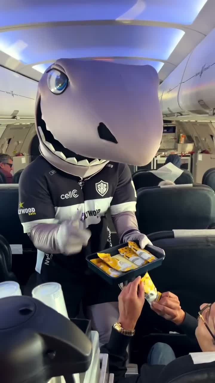 The Sharks on Aug 19