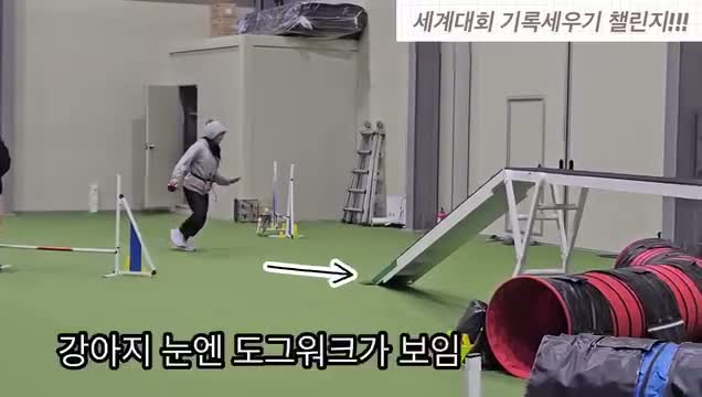 잭러셀테리어_여름 on Dec 6