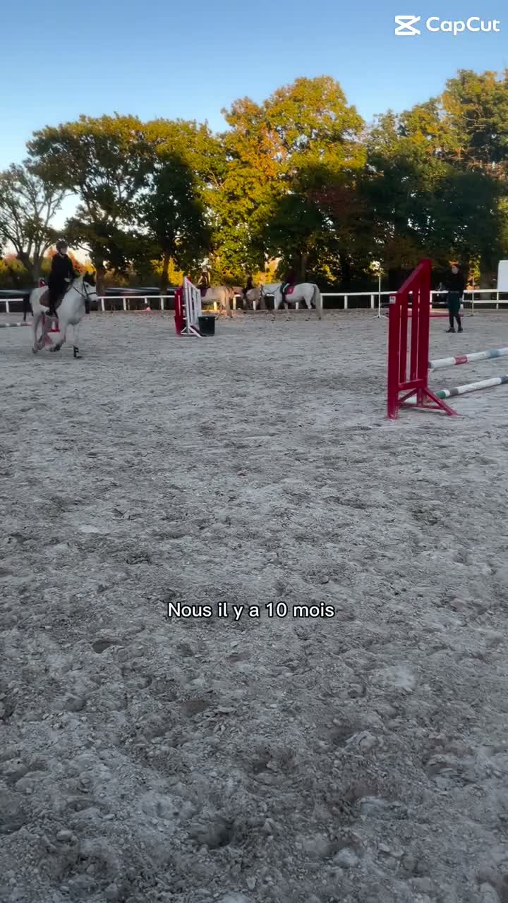 Gwen x Nemo❤️🐴 on Jul 7