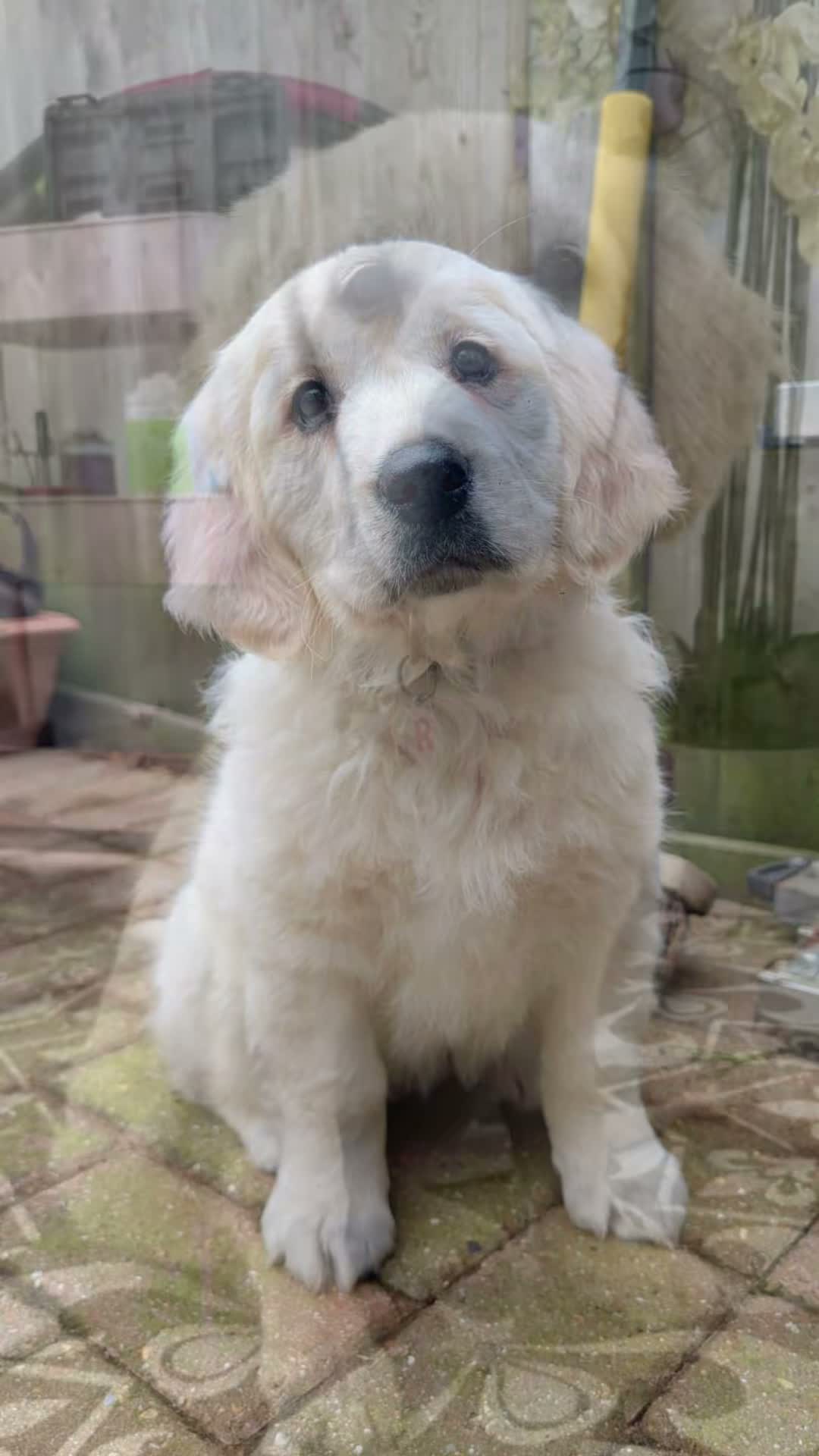 BabyRoo on Jul 15