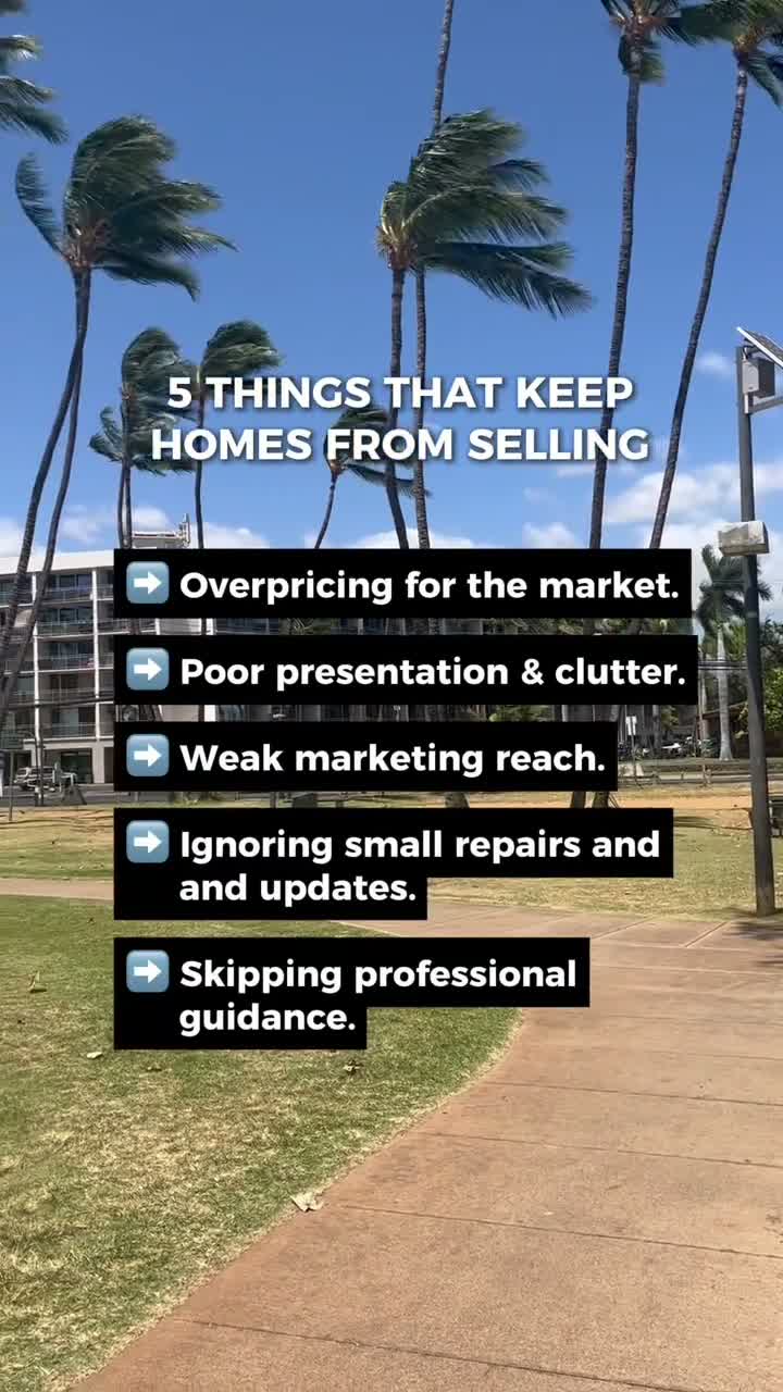 That_Maui_Realtor_Dude on Nov 19