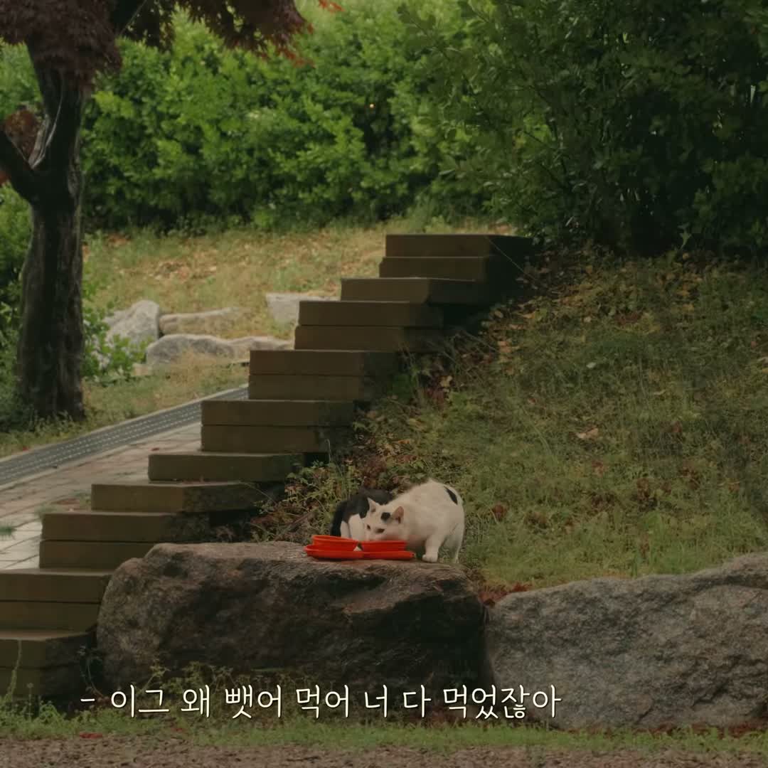 OUTDOORS | 24H on May 28