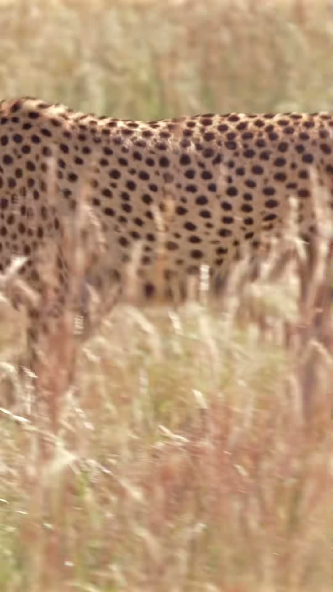 Whipsnade Zoo on Jul 15