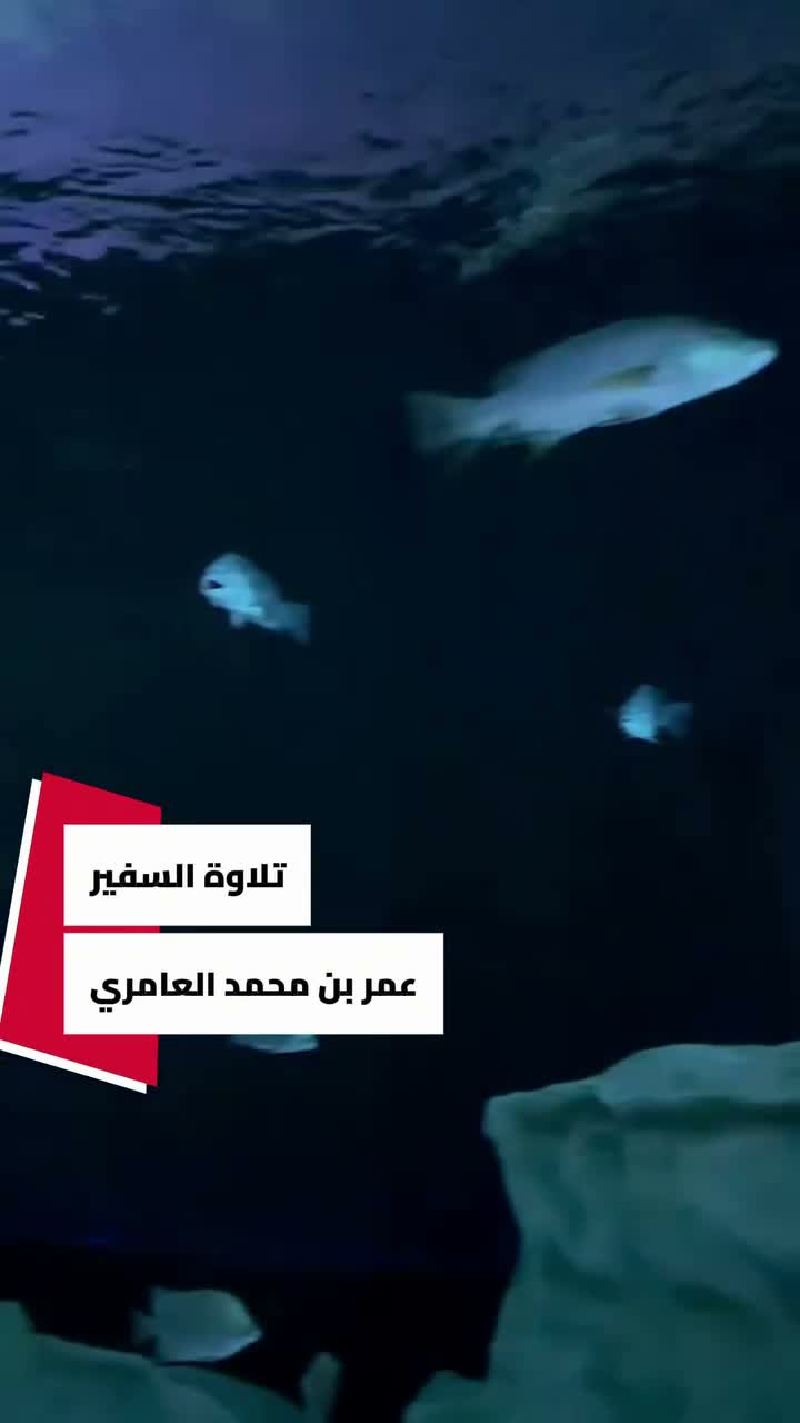 أبو حفص | عمر العامري 🇶🇦 on Aug 20