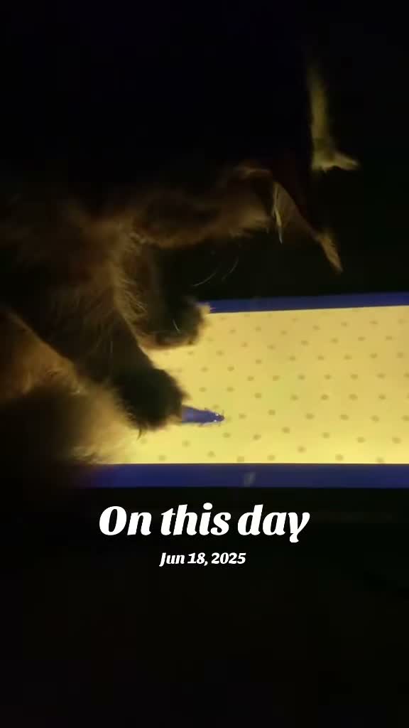 yoda😻 on Jun 18